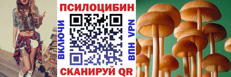 Галлюциногенные грибы MAGIC MUSHROOMS  Купить  Заводоуковск 